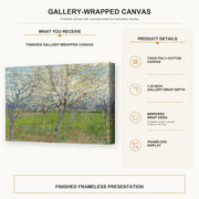 Vincent van Gogh - Orchard with Blossoming Apricot Trees gallery wrap canvas construction and hanging details infographic