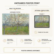 Vincent van Gogh - Orchard with Blossoming Apricot Trees poster print size comparison and framing display infographic