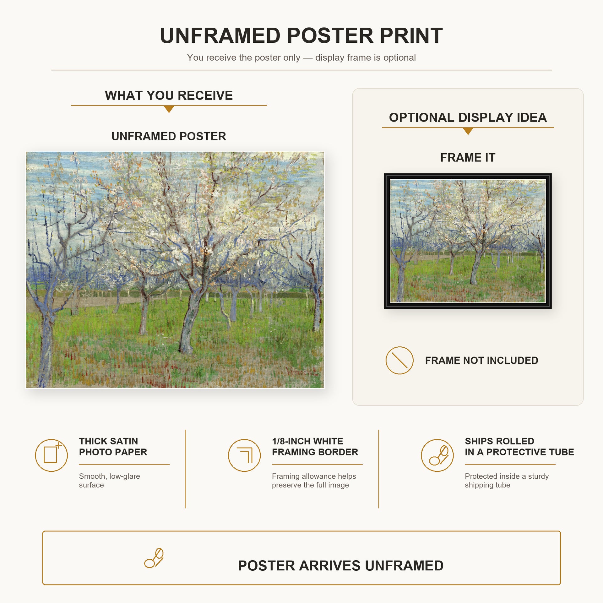 Vincent van Gogh - Orchard with Blossoming Apricot Trees poster print size comparison and framing display infographic