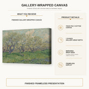 Vincent van Gogh - Orchard in Blossom gallery wrap canvas construction and hanging details infographic