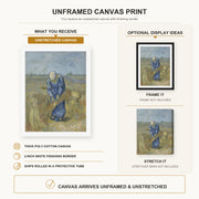 Vincent van Gogh - Peasant Woman Binding Sheaves canvas print size comparison and framing display infographic