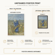 Vincent van Gogh - Peasant Woman Binding Sheaves poster print size comparison and framing display infographic
