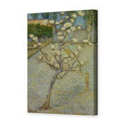 Vincent van Gogh's 'Small Pear Tree in Blossom' painting reproduced as a gallery-wrapped canvas print