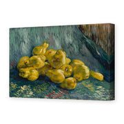 Vincent van Gogh's 'Still Life with Quinces Pears' painting reproduced as a gallery-wrapped canvas print