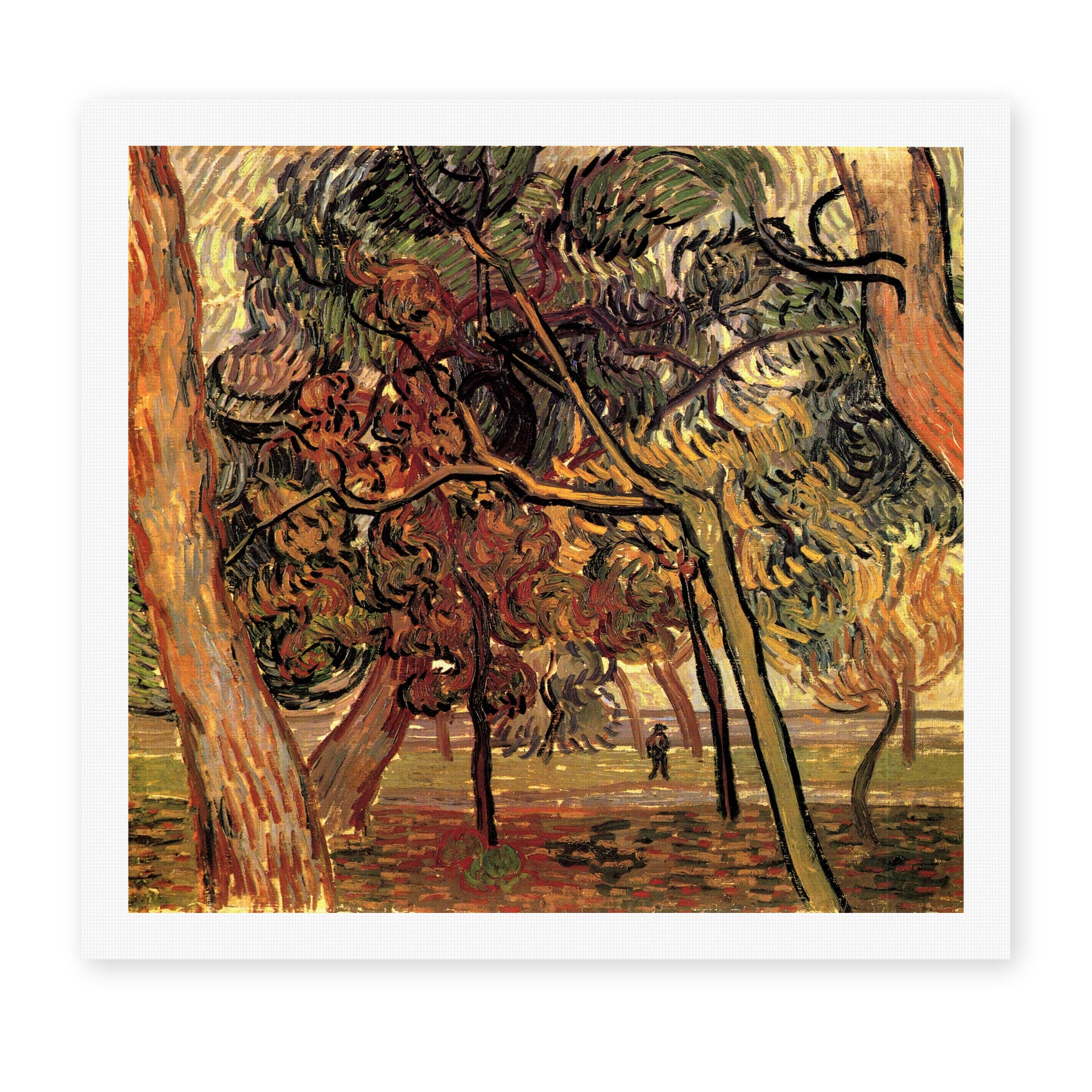 Vincent van Gogh's 'Study of Pine Trees' painting reproduced as a rolled canvas print