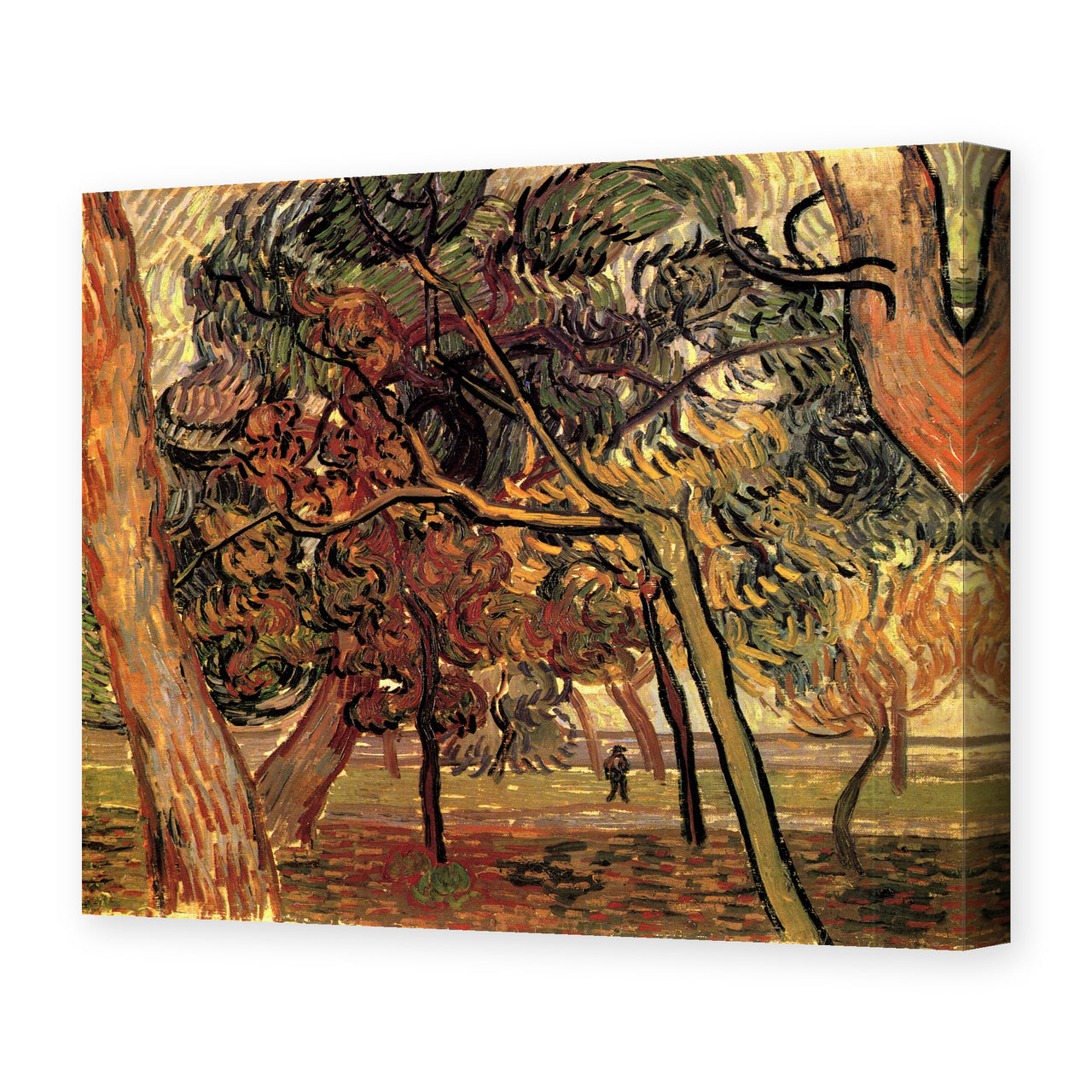 Vincent van Gogh's 'Study of Pine Trees' painting reproduced as a gallery-wrapped canvas print
