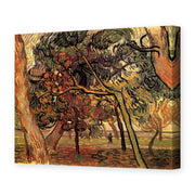 Vincent van Gogh's 'Study of Pine Trees' painting reproduced as a gallery-wrapped canvas print
