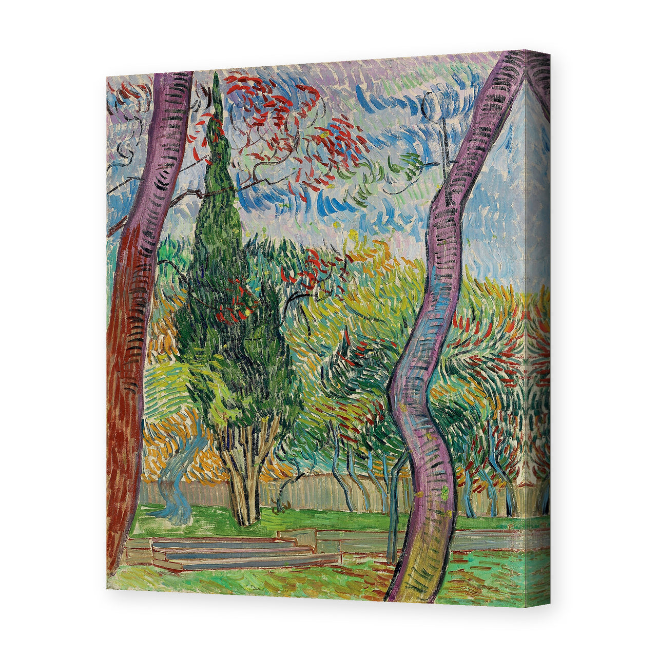 Vincent van Gogh's 'The Garden of Saint Paul Hospital' painting reproduced as a gallery-wrapped canvas print