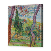 Vincent van Gogh's 'The Garden of Saint Paul Hospital' painting reproduced as a gallery-wrapped canvas print