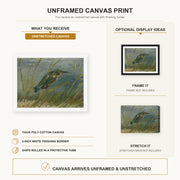 Vincent van Gogh - The Kingfisher canvas print size comparison and framing display infographic