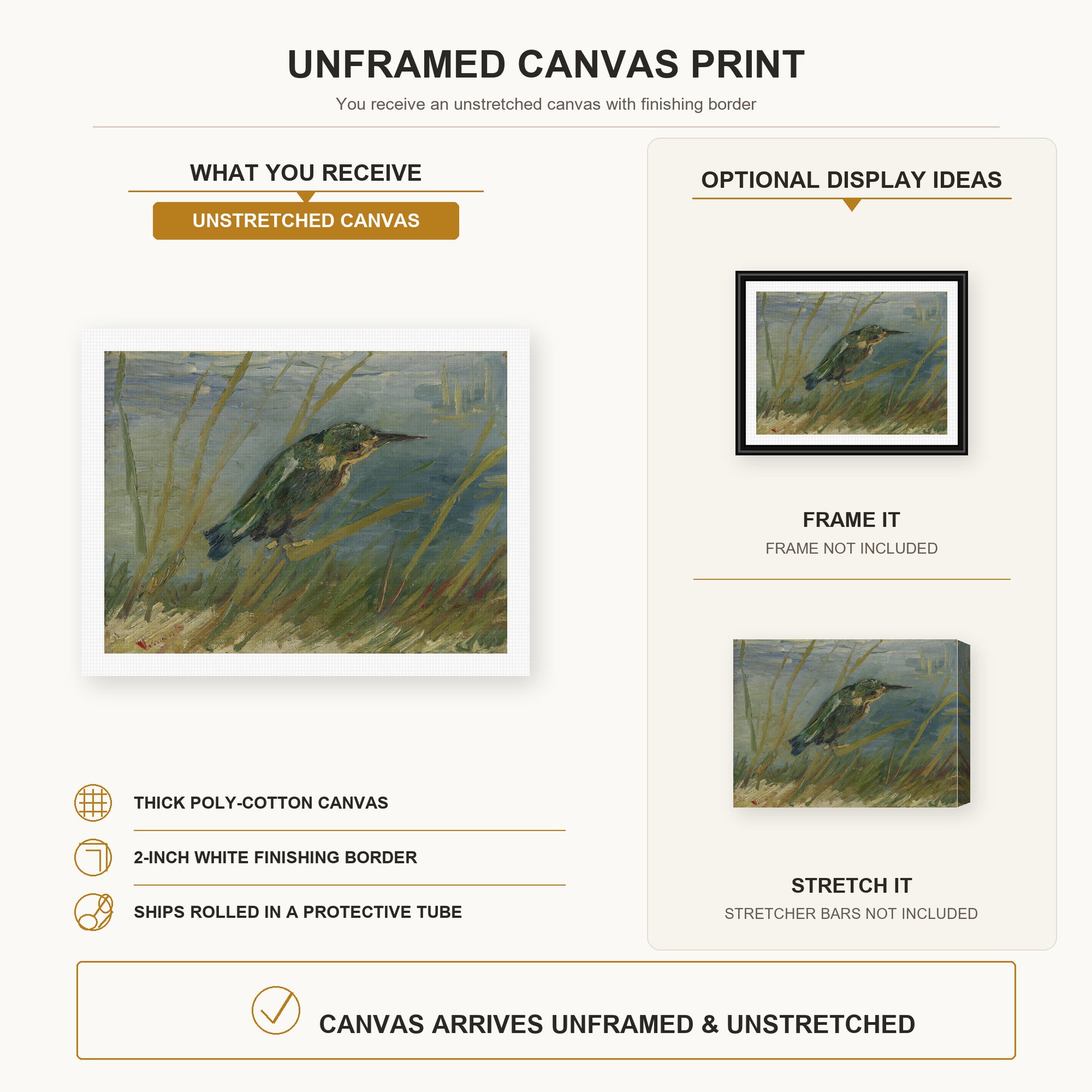 Vincent van Gogh - The Kingfisher canvas print size comparison and framing display infographic
