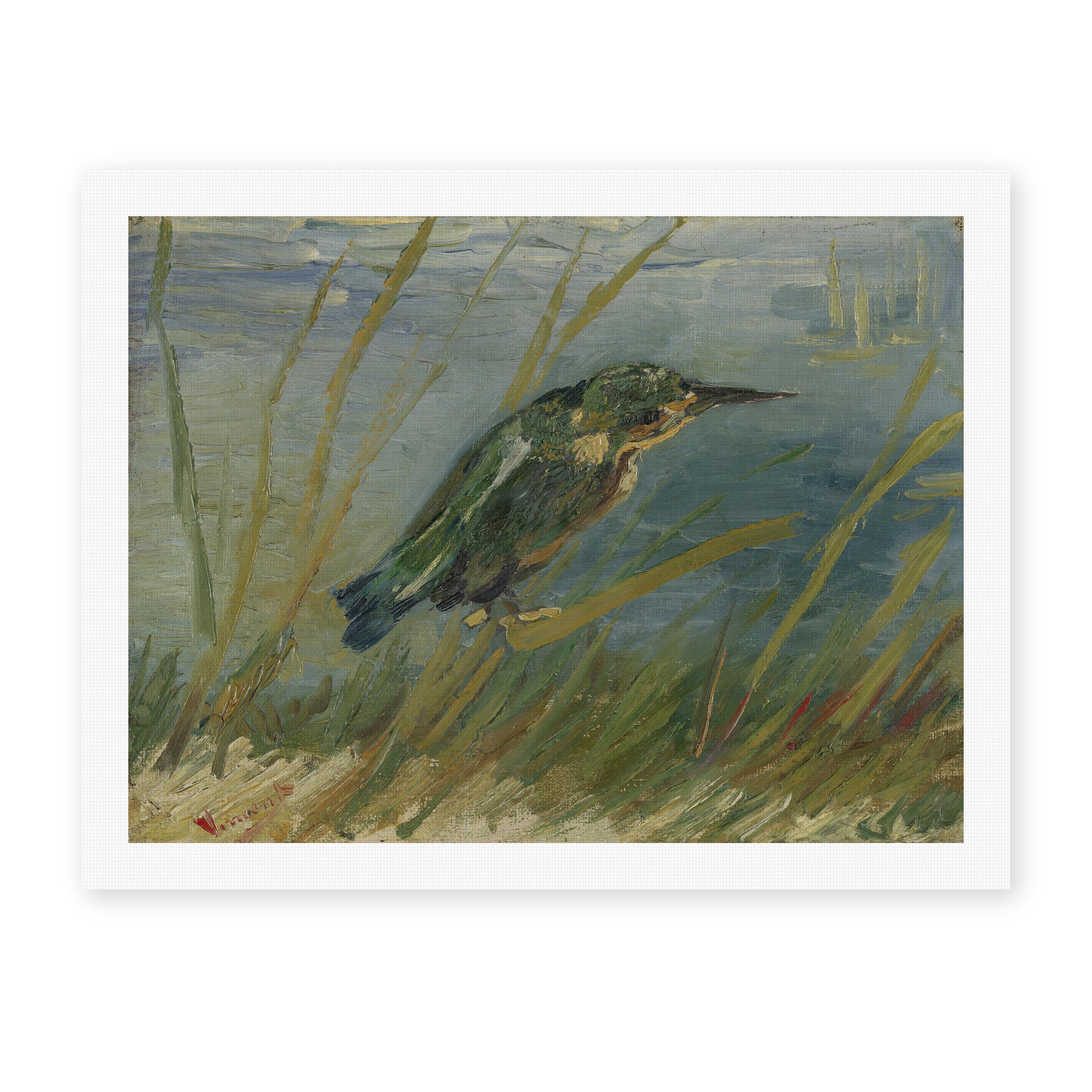 Vincent van Gogh's 'The Kingfisher' painting reproduced as a rolled canvas print