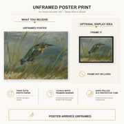 Vincent van Gogh - The Kingfisher poster print size comparison and framing display infographic