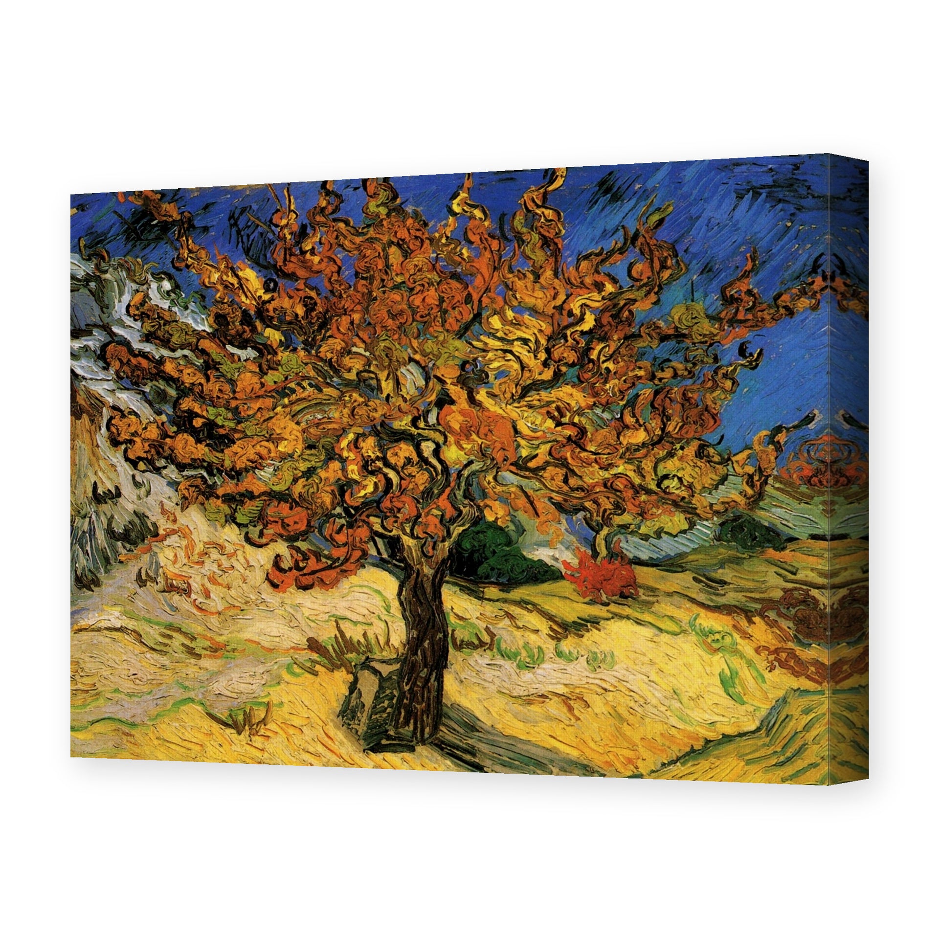 Vincent van Gogh's 'The Mulberry Tree' painting reproduced as a gallery-wrapped canvas print