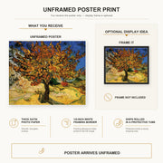 Vincent van Gogh - The Mulberry Tree poster print size comparison and framing display infographic