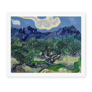 Vincent van Gogh's 'The Olive Trees' painting reproduced as a rolled canvas print