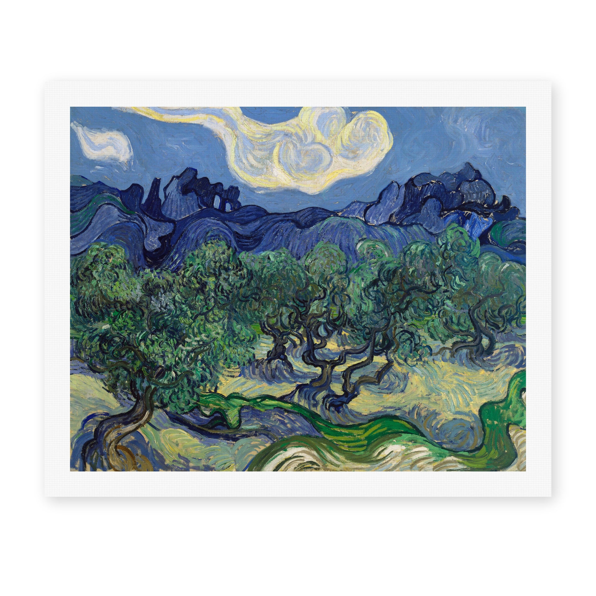 Vincent van Gogh's 'The Olive Trees' painting reproduced as a rolled canvas print