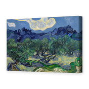 Vincent van Gogh's 'The Olive Trees' painting reproduced as a gallery-wrapped canvas print