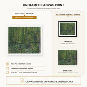 Vincent van Gogh - Trees and Undergrowth canvas print size comparison and framing display infographic