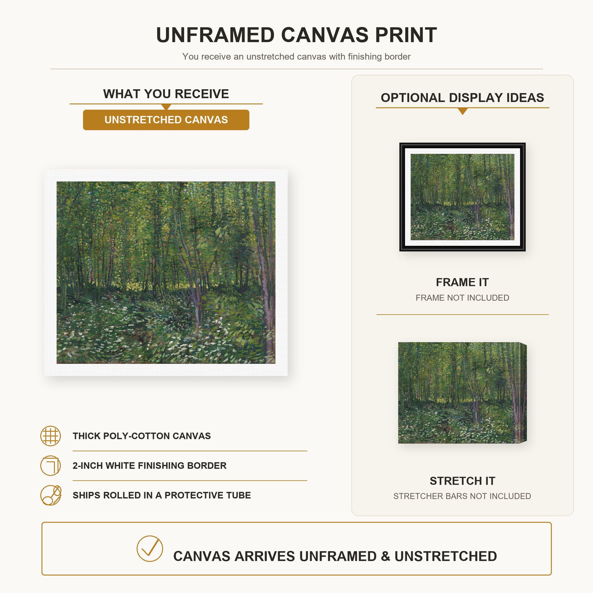 Vincent van Gogh - Trees and Undergrowth canvas print size comparison and framing display infographic