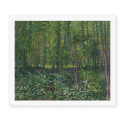 Vincent van Gogh's 'Trees and Undergrowth' painting reproduced as a rolled canvas print