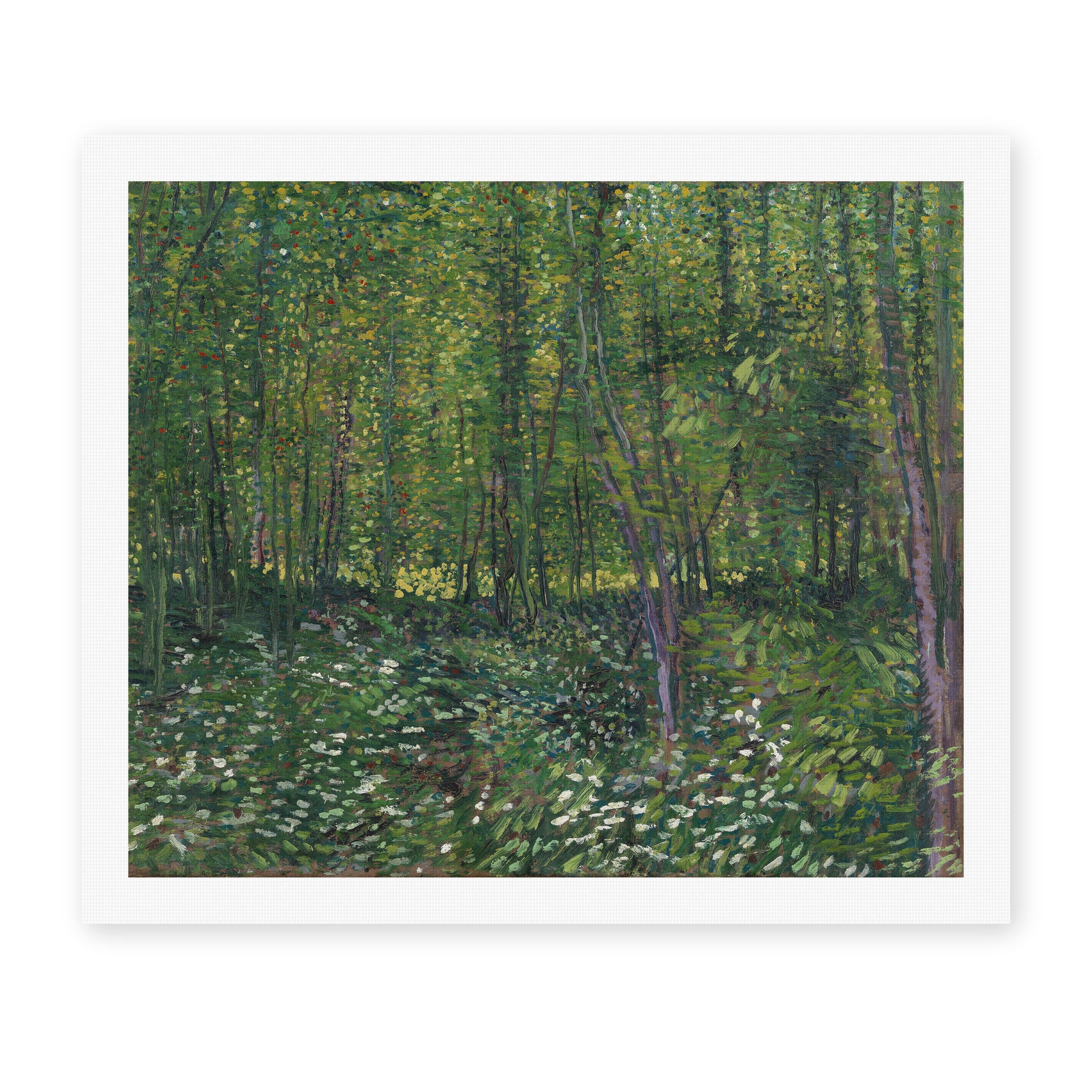 Vincent van Gogh's 'Trees and Undergrowth' painting reproduced as a rolled canvas print