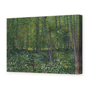 Vincent van Gogh's 'Trees and Undergrowth' painting reproduced as a gallery-wrapped canvas print