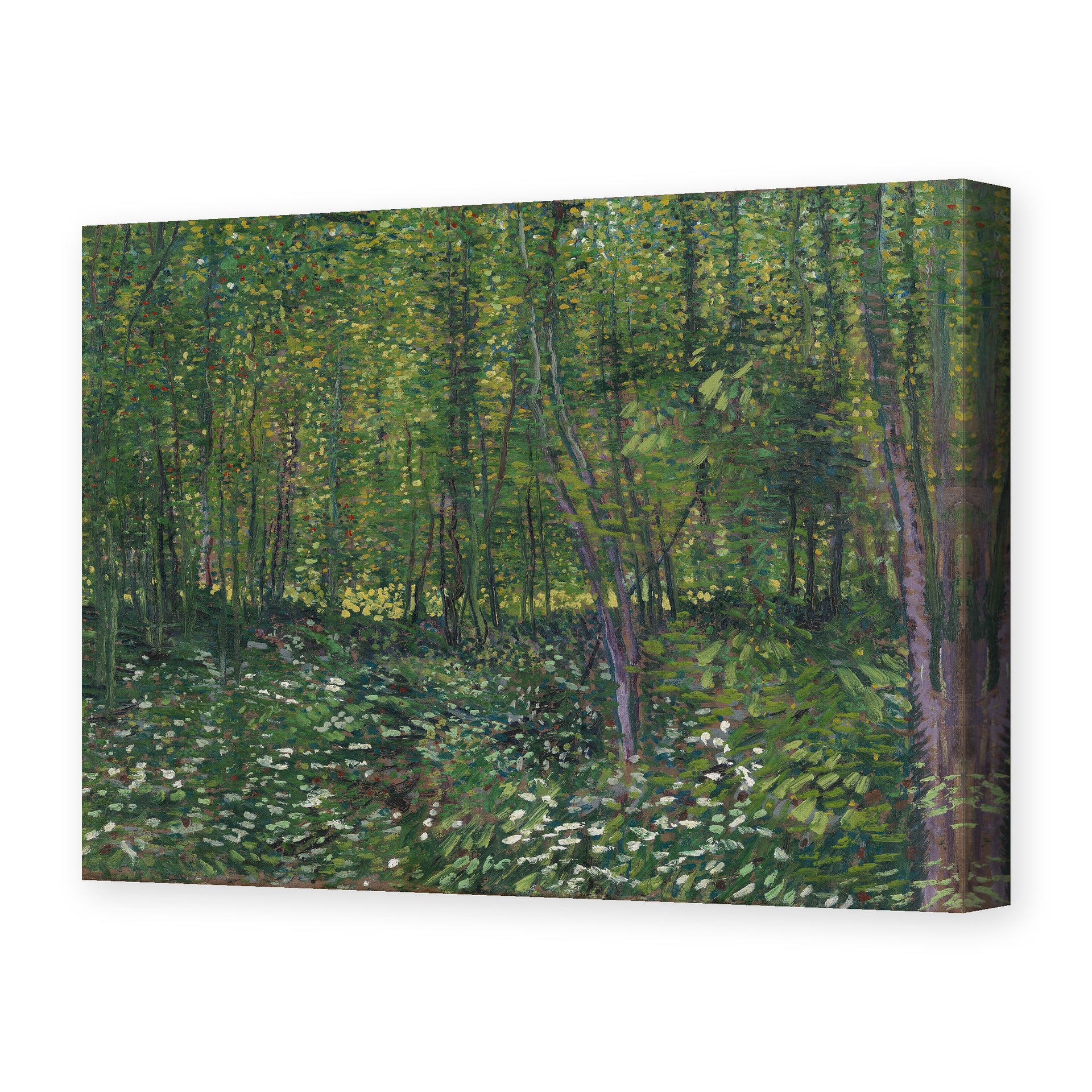 Vincent van Gogh's 'Trees and Undergrowth' painting reproduced as a gallery-wrapped canvas print