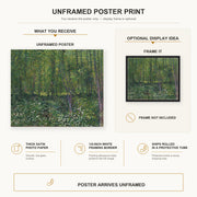 Vincent van Gogh - Trees and Undergrowth poster print size comparison and framing display infographic