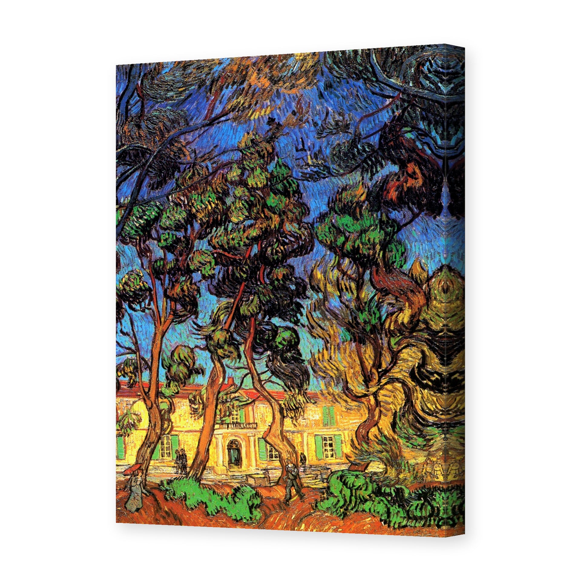 Vincent van Gogh's 'Trees in the Garden of Saint Paul Hospital' painting reproduced as a gallery-wrapped canvas print