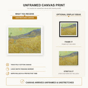 Vincent van Gogh - Wheatfield with a Reaper canvas print size comparison and framing display infographic