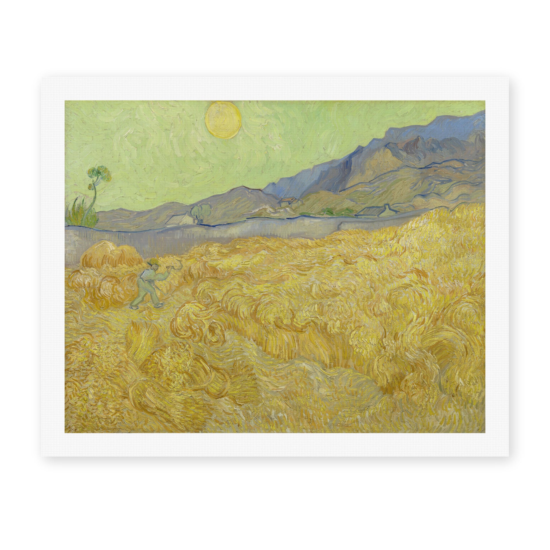 Vincent van Gogh's 'Wheatfield with a Reaper' painting reproduced as a rolled canvas print