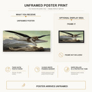 William-Adolphe Bouguereau - Equality Before Death poster print size comparison and framing display infographic
