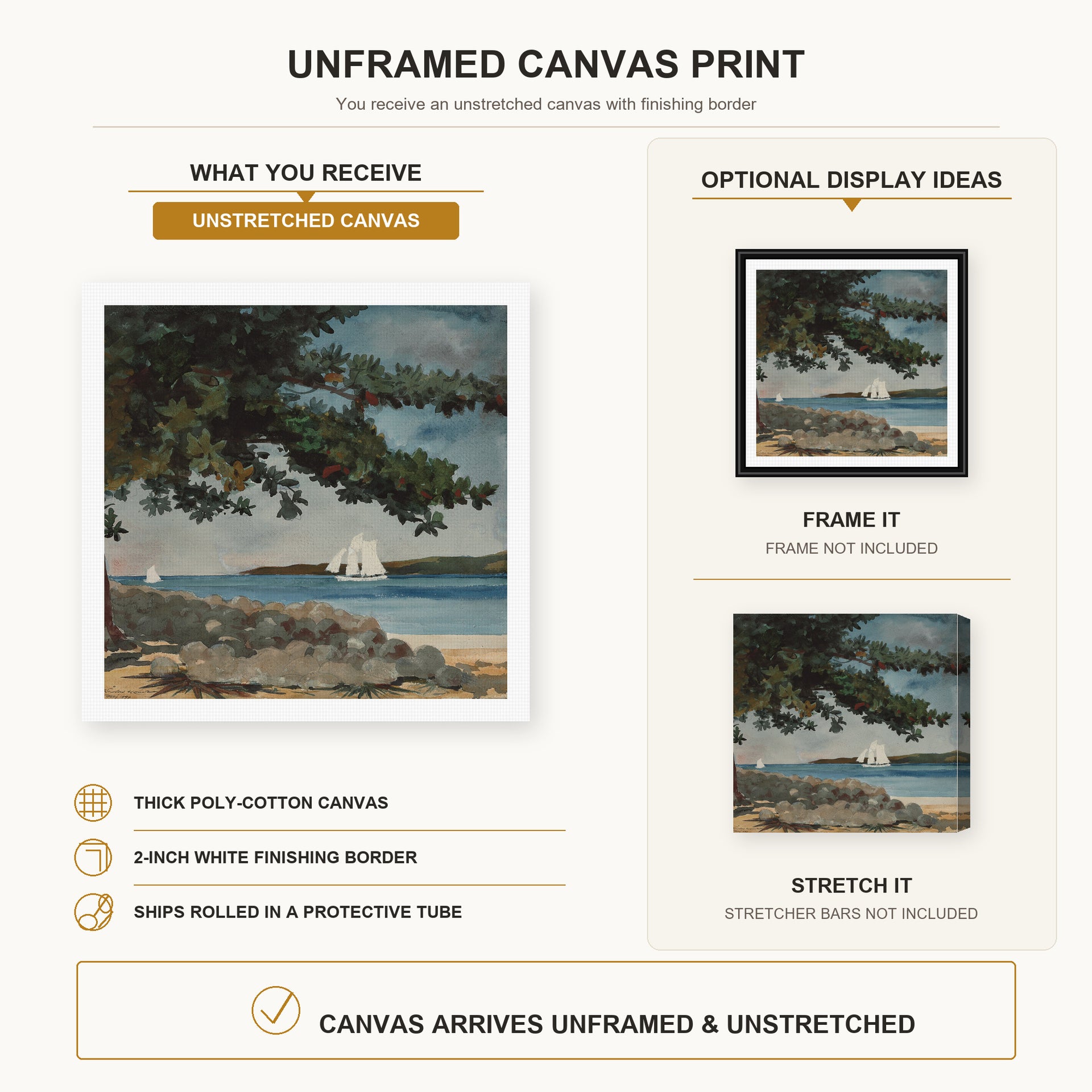 Winslow Homer - Nassau, Water and Sailboat canvas print size comparison and framing display infographic