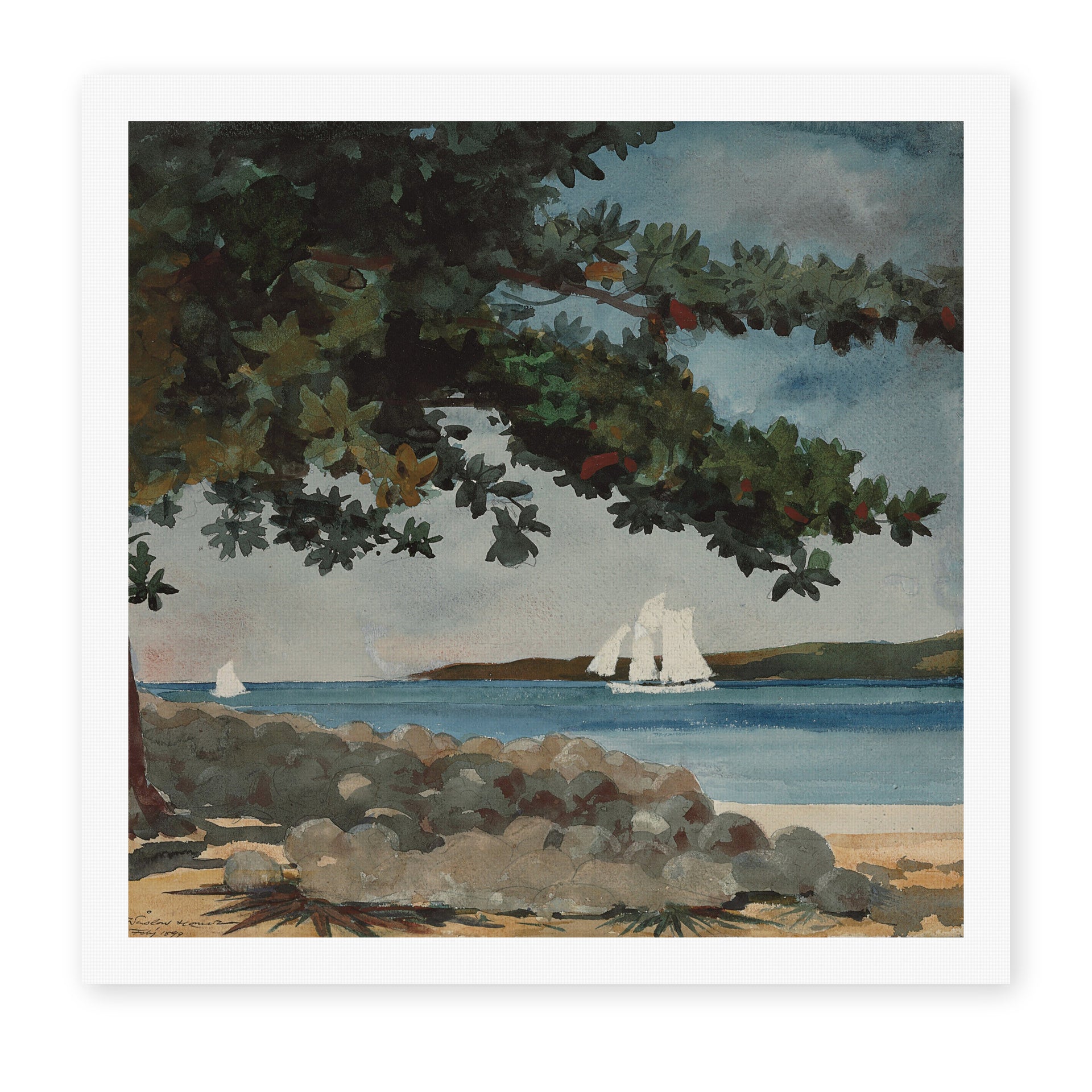 Winslow Homer's 'Nassau, Water and Sailboat' painting reproduced as a rolled canvas print