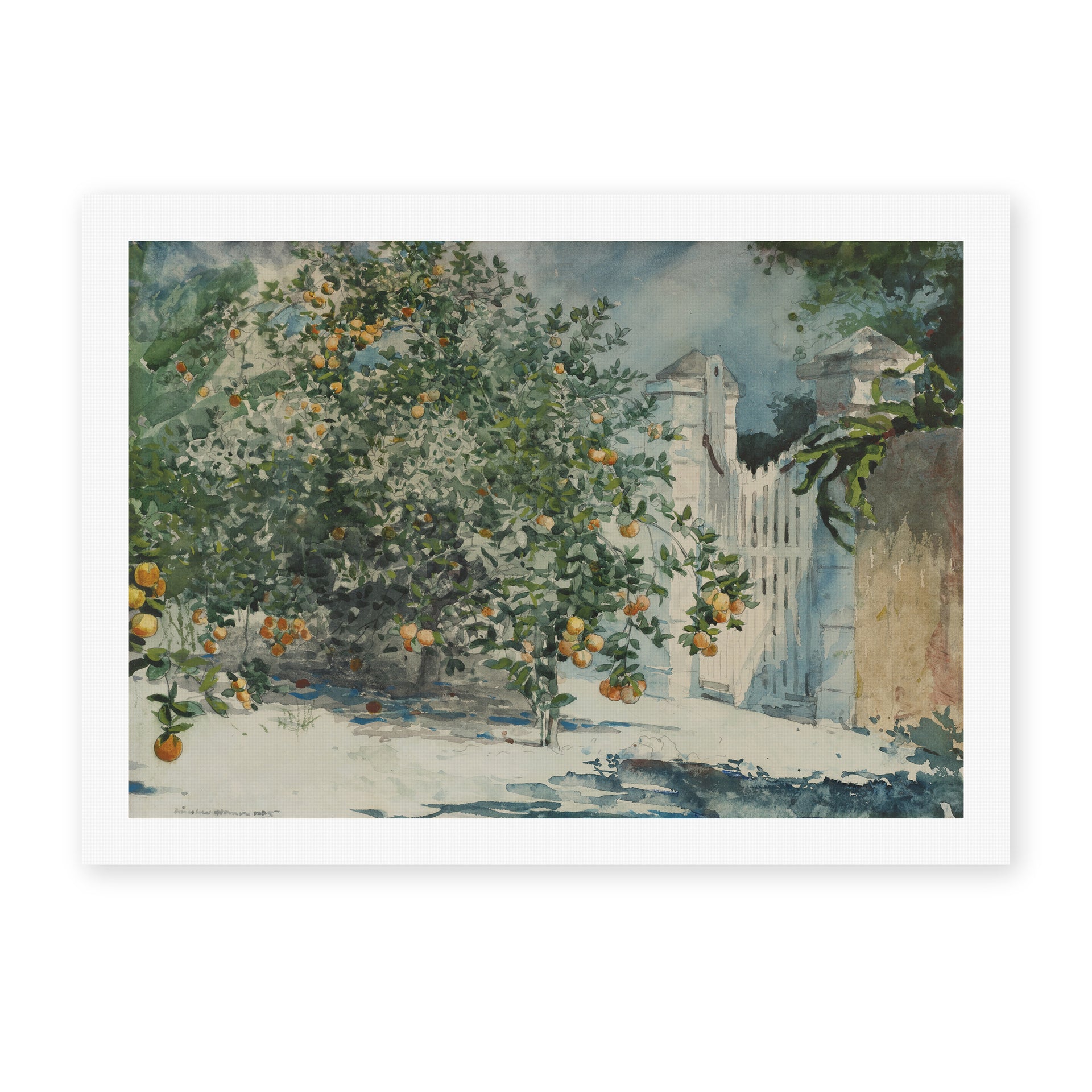 Winslow Homer's 'Orange Trees and Gate' painting reproduced as a rolled canvas print