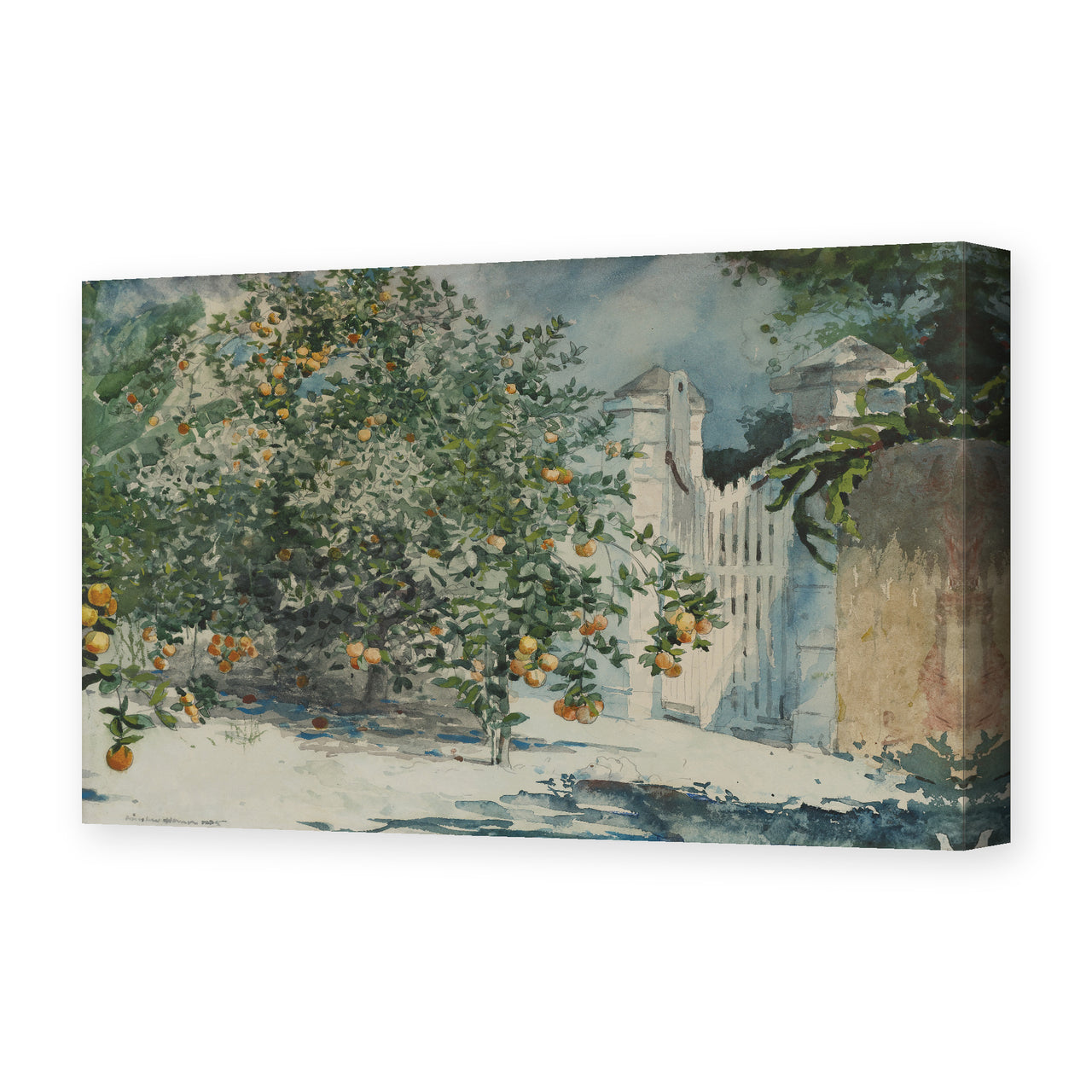 Winslow Homer's 'Orange Trees and Gate' painting reproduced as a gallery-wrapped canvas print