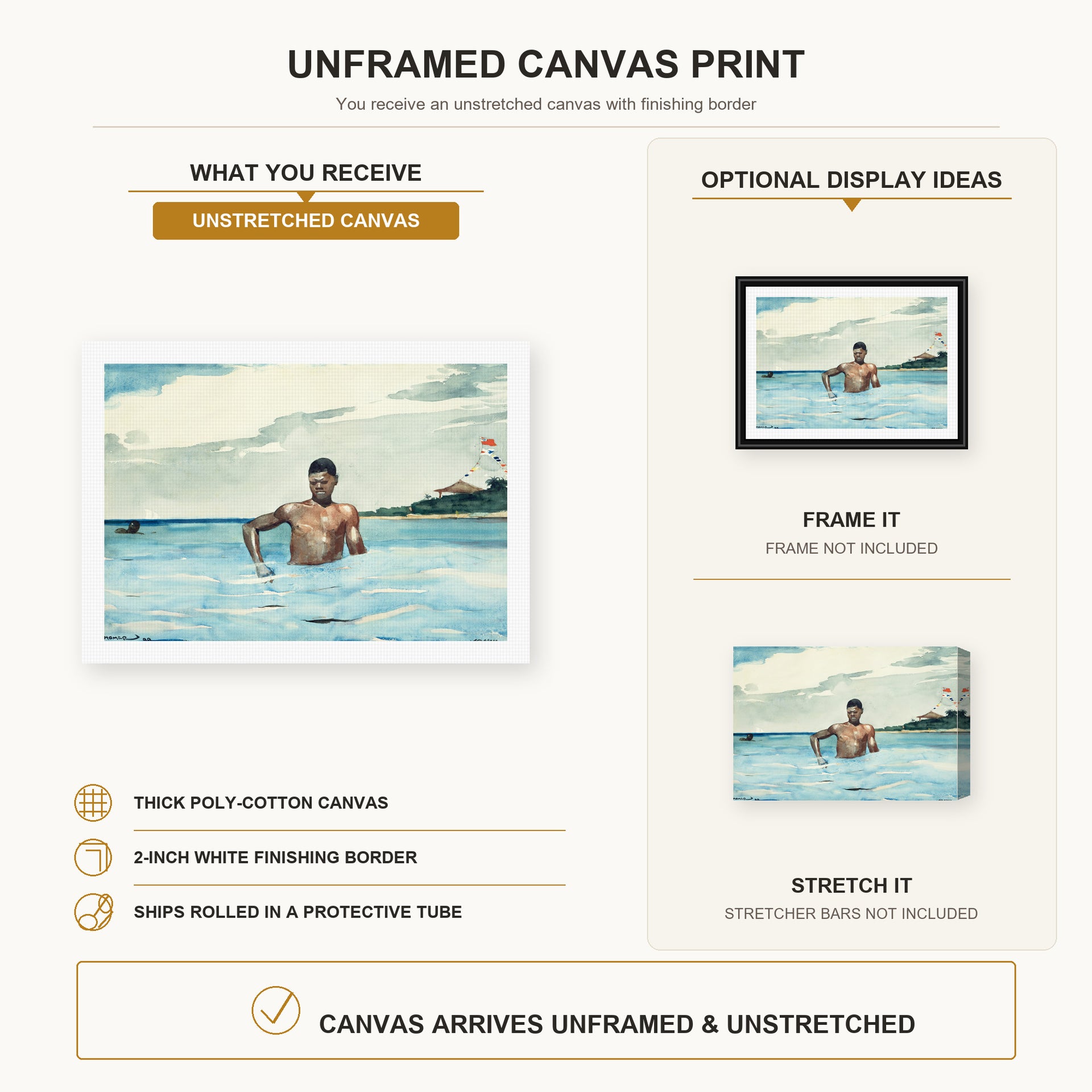 Winslow Homer - The Bather canvas print size comparison and framing display infographic