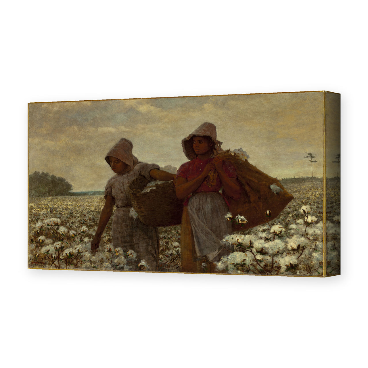 Winslow Homer's 'The Cotton Pickers' painting reproduced as a gallery-wrapped canvas print