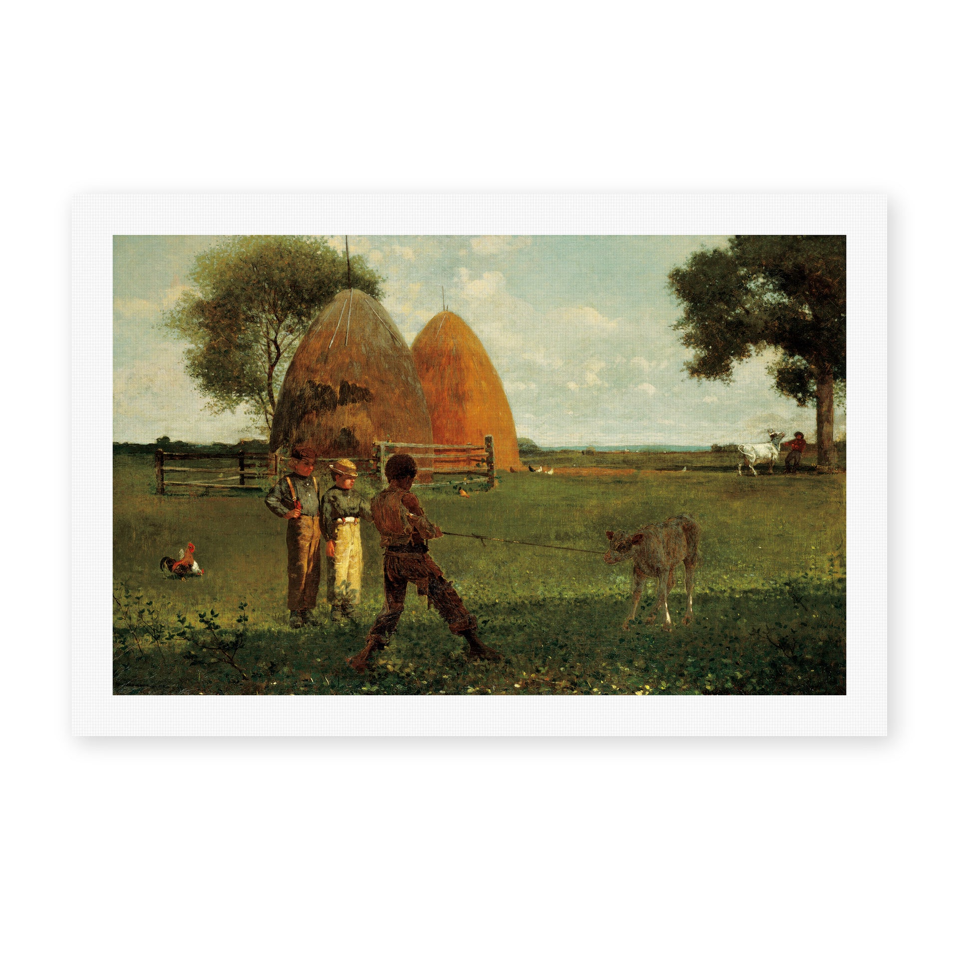 Winslow Homer's 'Weaning the Calf' painting reproduced as a rolled canvas print