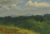 Albert Bierstadt - Field of red and yellow wildflowers