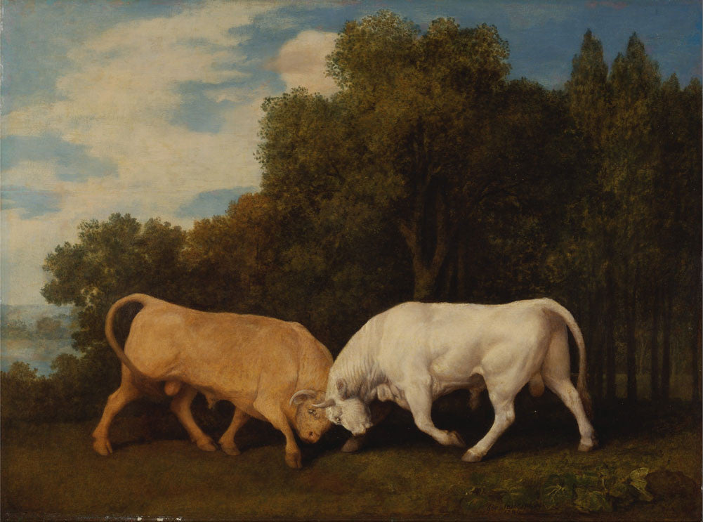 George Stubbs - Bulls Fighting