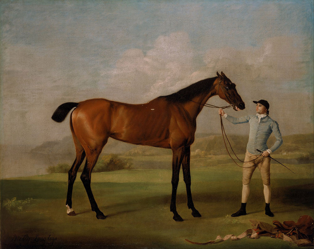 George Stubbs - Molly Long Legs with her Jockey