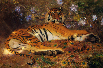 Gustave Surand - Resting Tiger