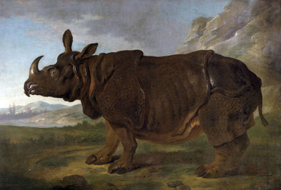 Jean-Baptiste Oudry - Clara le Rhinoceros