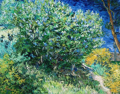 Vincent van Gogh - Lilac Bush