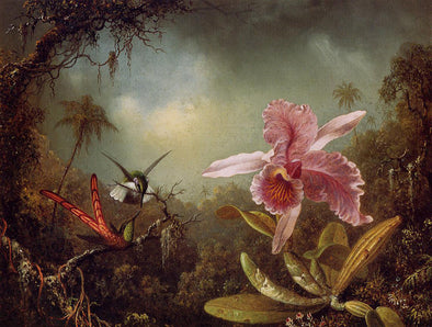 Martin Johnson Heade - Orchid with Two Hummingbirds