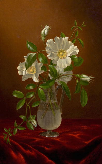 Martin Johnson Heade - Cherokee Roses in a Glass