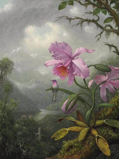 Martin Johnson Heade - Hummingbird Perched on the Orchid Plant