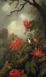 Martin Johnson Heade - Hummingbird and Passionflowers